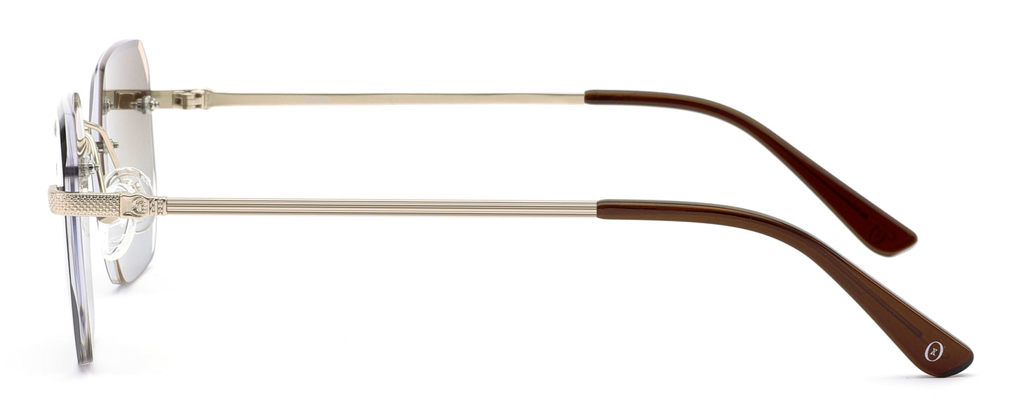 XENO Type 02 in Veilgold Sunglasses
